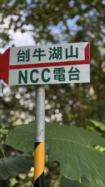 20251025 小百岳竹子尖山及刣牛湖山2925021