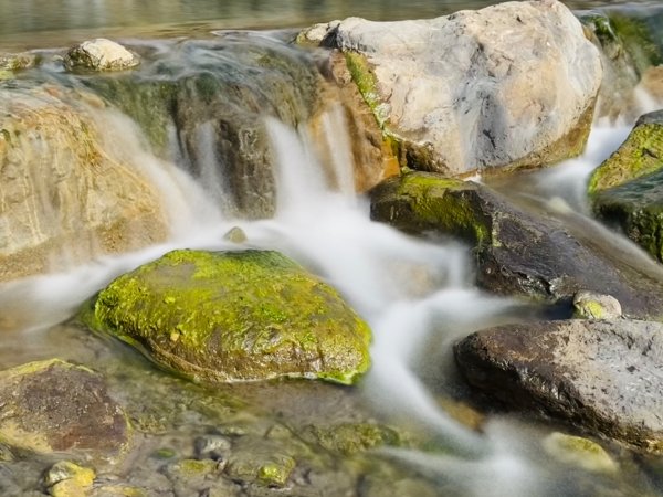 雪山坑登山步道尋巨人2978494
