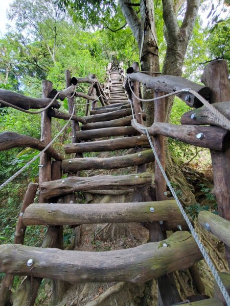 台中大坑頭嵙山697986