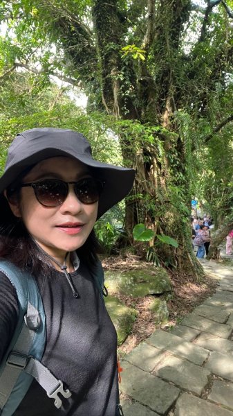 2025草嶺古道2970588