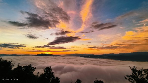 跟著雲海達人山友追雲趣 #石碇後山 #雲海 #霞光 #日出 #火燒雲 7/312848497