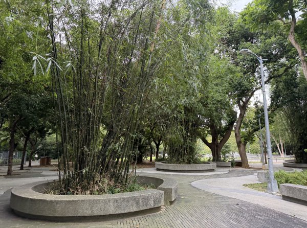 [2026臺北健走趣-14/50] 2026_0823_木柵公園3122234