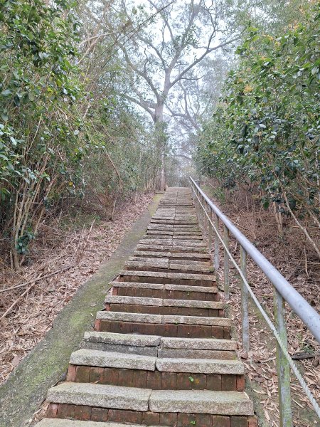 劍潭古道202503122734294