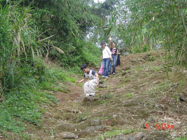 2008 Apr. 天母之下竹林步道584612