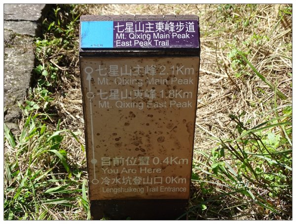 七星山連峰/芒花738697