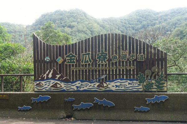 金瓜寮魚蕨步道3086800