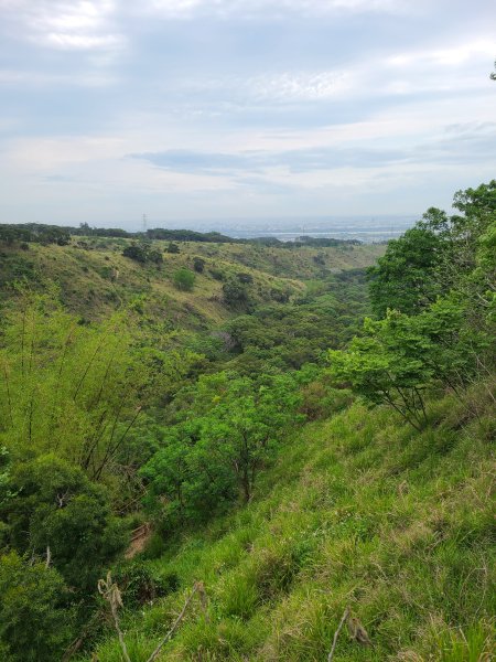 竹坑南寮登山步道~舒服山景2759639