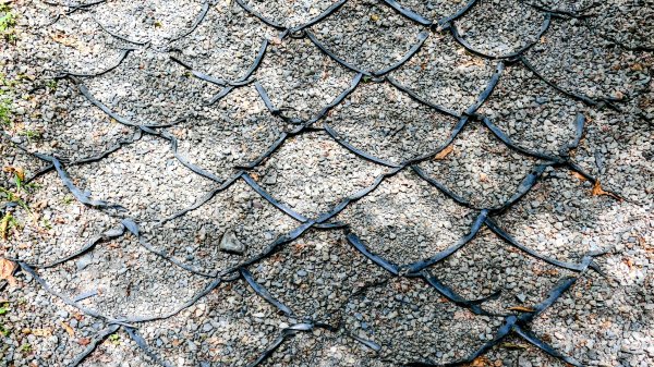 九寮溪自然步道2826884