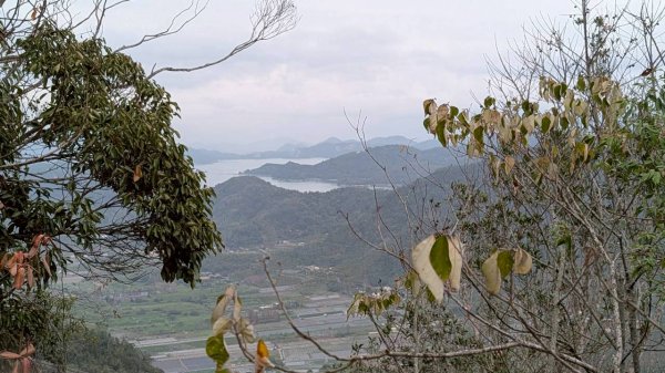 後尖山步道3008308