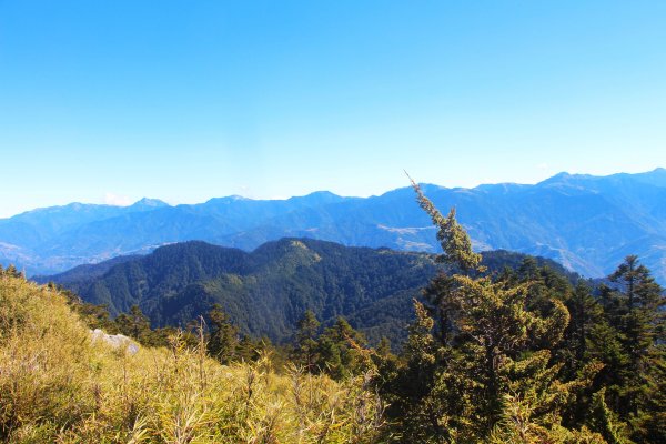 白姑大山 - 障礙連連 嗆辣迷人！1923385