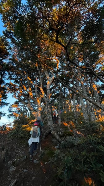 【臺中市和平區】大小劍山、佳陽山3天2夜(中)1815623