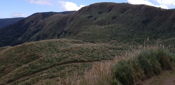 頂山石梯嶺步道777619