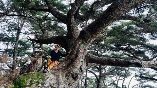 🌈10/6-7登上高峰~玉山主峰FB：熊熊趴爬走(富裕登山社)🌈3131622