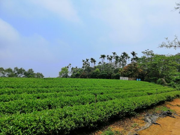 八卦山山脈最高峰。編號48小百岳 橫山754294