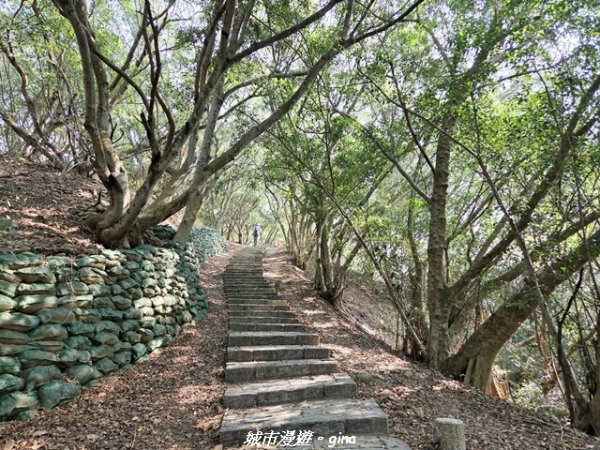 【台中大肚】大肚萬里長城登山步道3023829