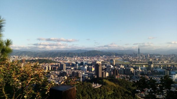 20190827金面山661336