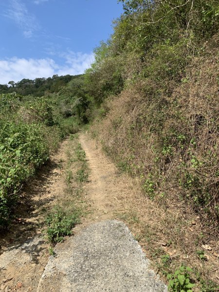 20250503屏東保和以山2781434