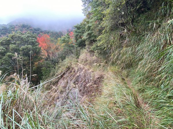 【 爬山趣 】神池營地跨年趣＆2023年的第一座百岳｜小關山1980437
