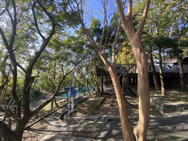 《金瑞治水園區開跑｜重訪金龍產道與碧山營地的暖陽晨跑》2951620