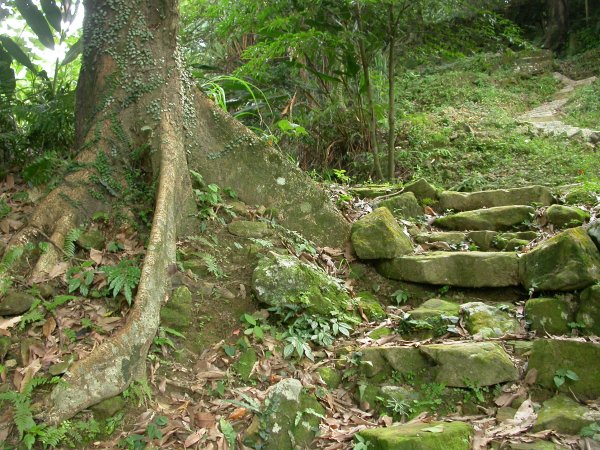汐止白雲古道／十三分山1959502