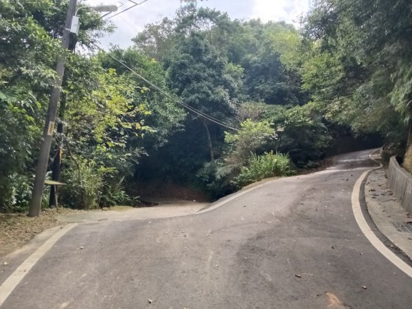 貢寮區大嶺古道+大石壁坑山+龍字碑+五酒桶山+龍崗山2948282