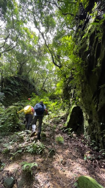 烏月山群峰--向天湖古道2515288