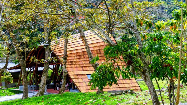 知本森林遊樂區3015075