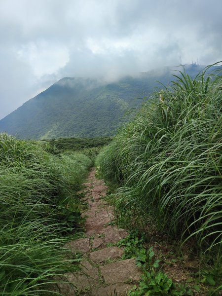 臺北大縱走第三段：小油坑至風櫃口2817674