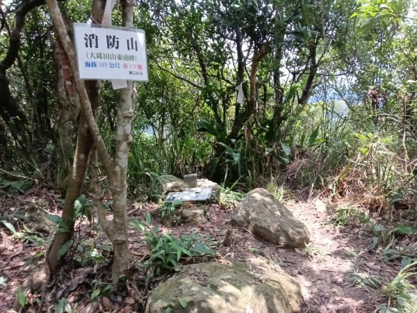 內湖區大丘田保甲路+開眼山+白石湖山+白石湖山東峰+大邱田山+消防山O型2858945