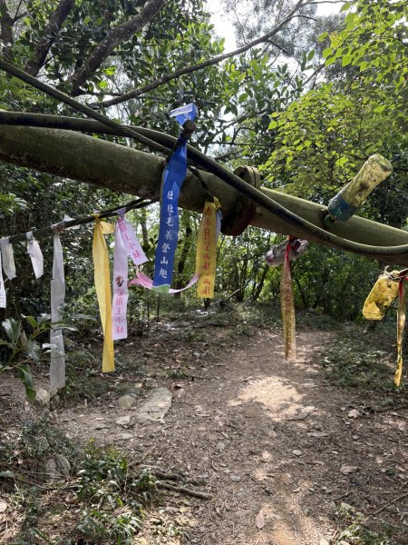 20251207笠頂山登山步道(第一登山口)2957668