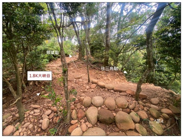 火炎山、北火炎山(新發現基石)、石頭坑山 連走3056073