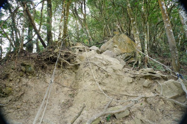 苗栗 獅潭 仙山、大窩山2984279