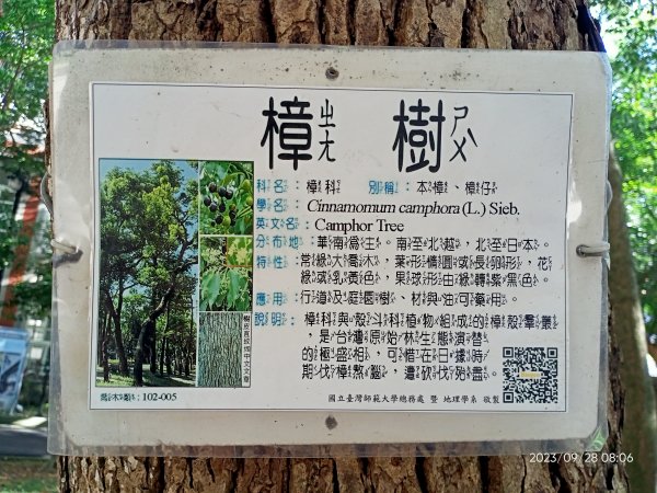 師大公園、師大本部 (國立臺灣師範大學和平校區) 【走路趣尋寶、健康大穀東】2298581