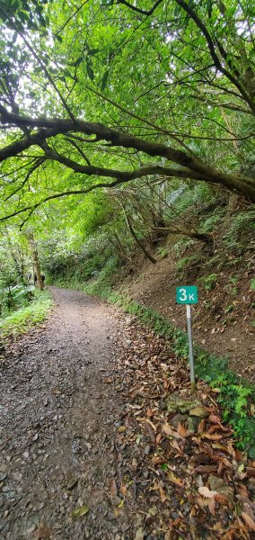 2022-03-12三角崙山登山步道1637866