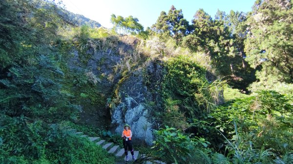 溪頭自然教育園區2938859