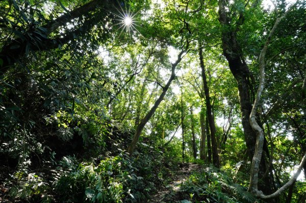 新竹 峨嵋 猿山、六寮山、玖玖山、獅頭山、獅尾山3012137