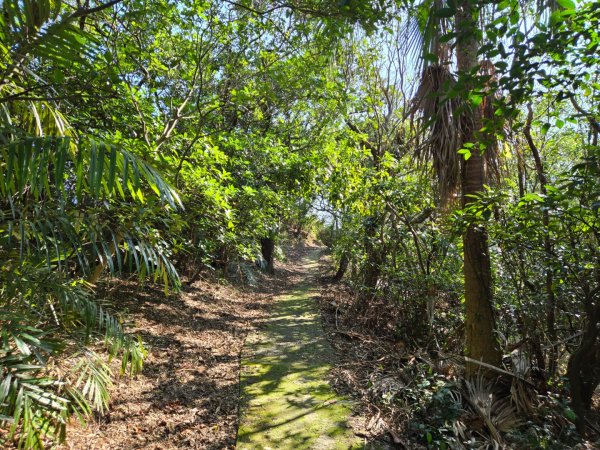 槓子寮砲台、槓子寮山步道（龍崗步道）（小百岳）2701993