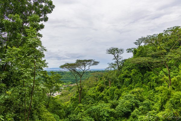 [屏東]笠頂山2847891