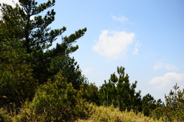 武法奈尾山天巒池872496