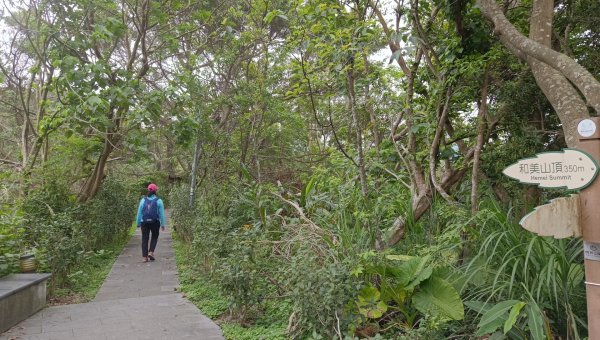 (姨婆趴趴走)第五十二集:新北新店攀登和美山及灣潭山2761091