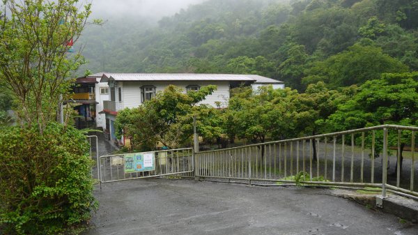 古魯林道登山健行趣(步道)1657605