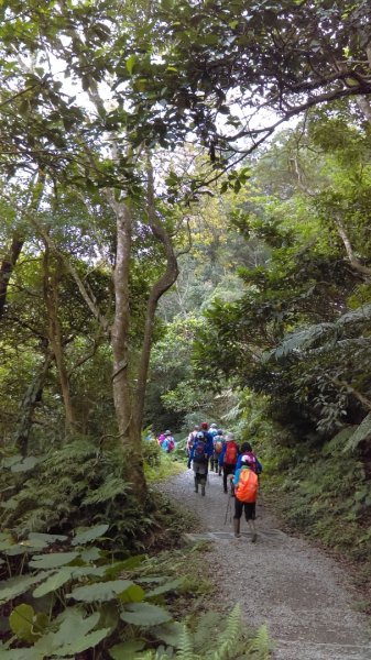 【溫泉步道小旅行】礁溪林美石磐步道842560