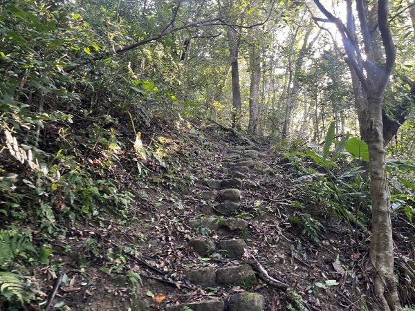 [淡蘭古道] 2025_0802 南路第四段2850812