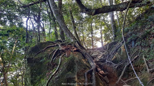 《新竹》斷崖神木｜北得拉曼步道小P繞202510172917487