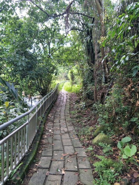 華山步道群(文學步道、1號步道)202105051414624