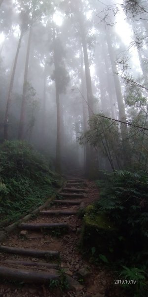 奮起湖大凍山步道2019.10.19979098