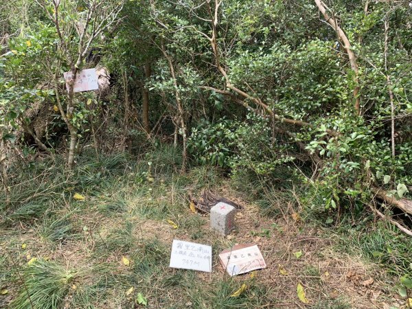 20250404屏東北獅子頭山-霧里乙山2757426