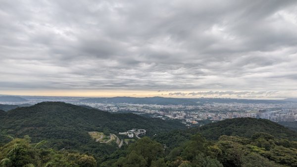 天上山 桐花公園來回2190974