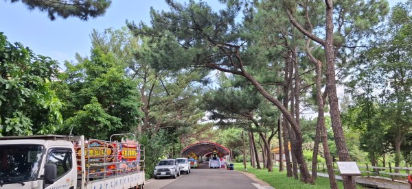 霄裡好風光2821310