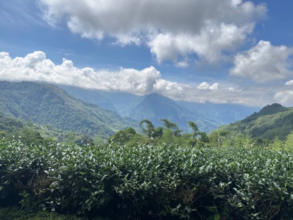 麻竹湖步道走麻竹湖山/阿郡山2820965